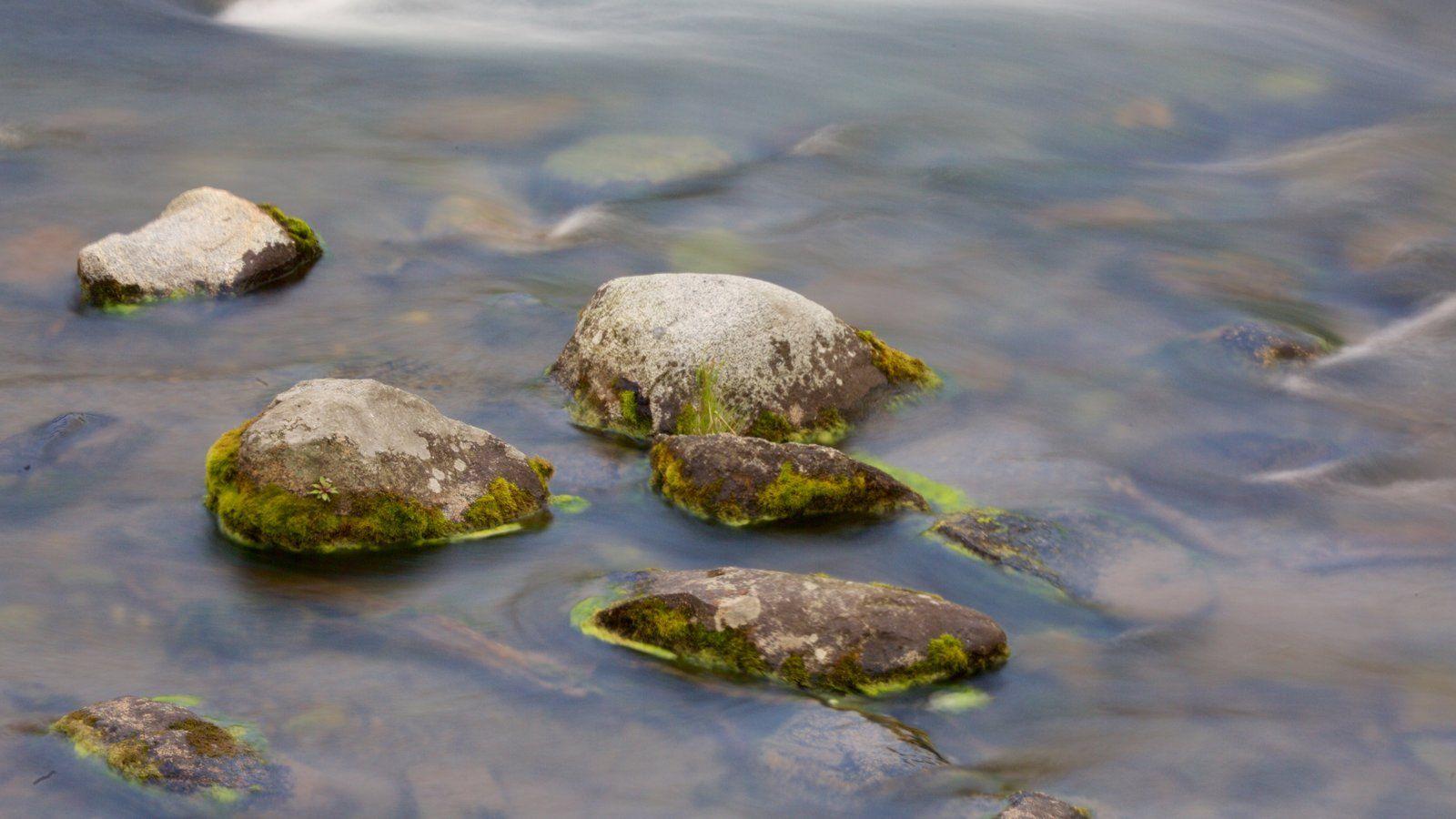 Katmai National Park and Preserve Picture: View Photo & Image