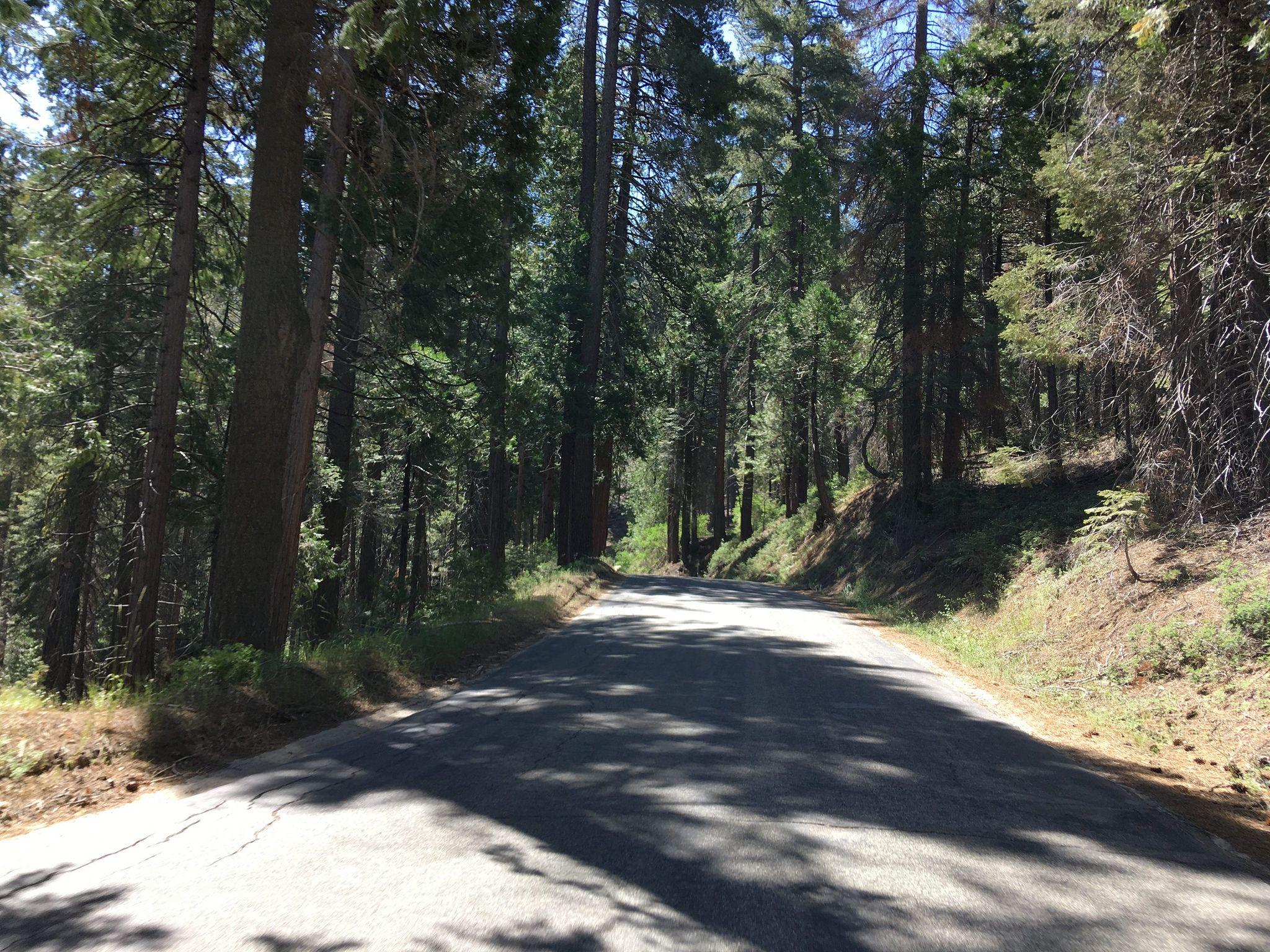 CA 180 Kings Canyon Highway (Minker To Cedar Grove)