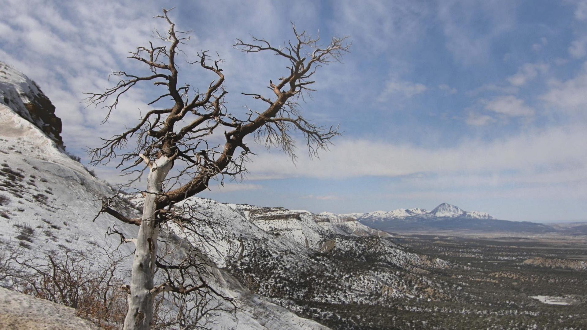 Mountain: Mesa Verde Colorado Mountains Tree Winter National Park