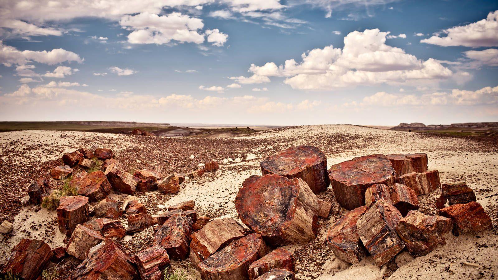 Petrified Forest · National Parks Conservation Association