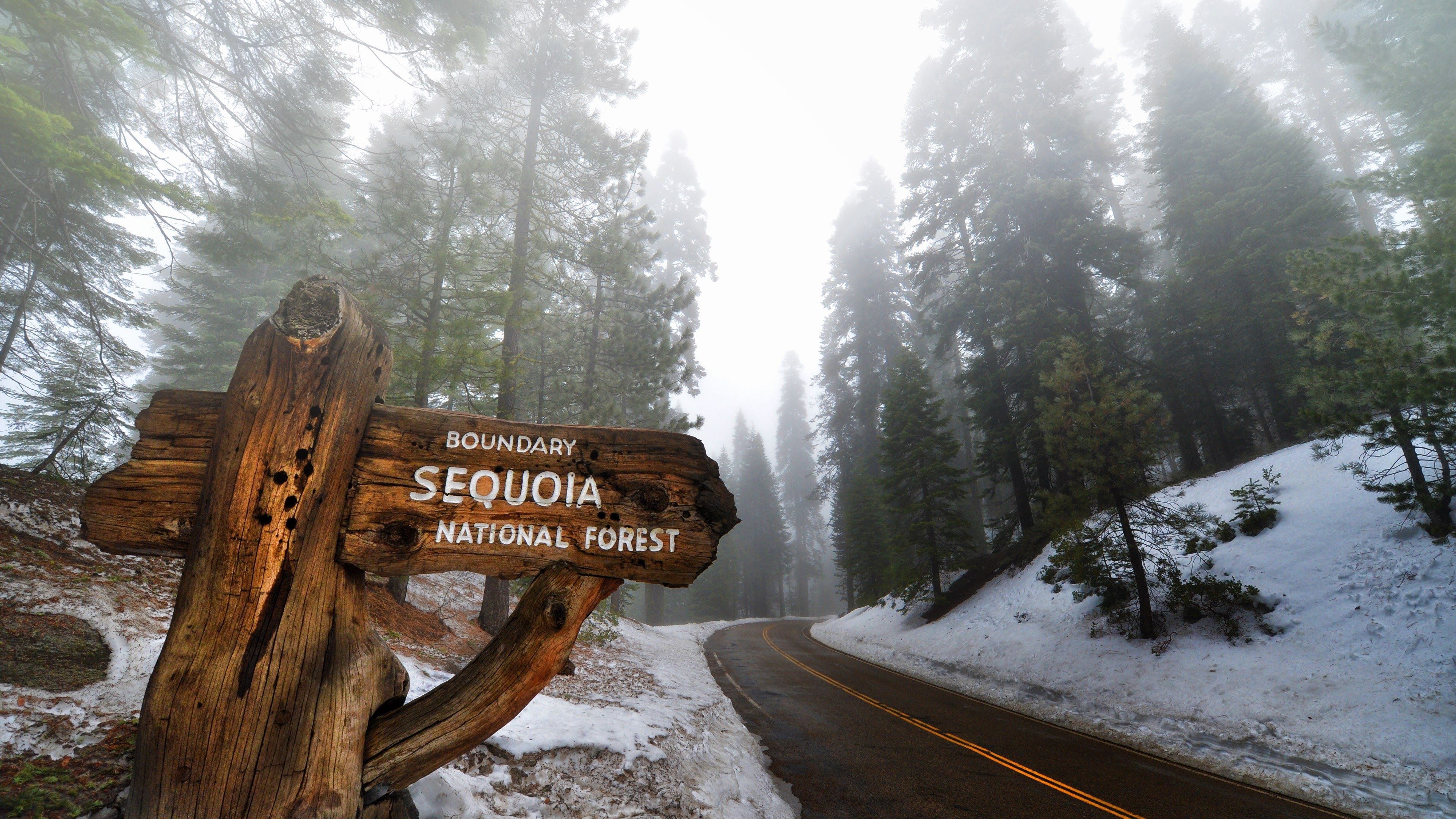 Sequoia National Park HD wallpaper