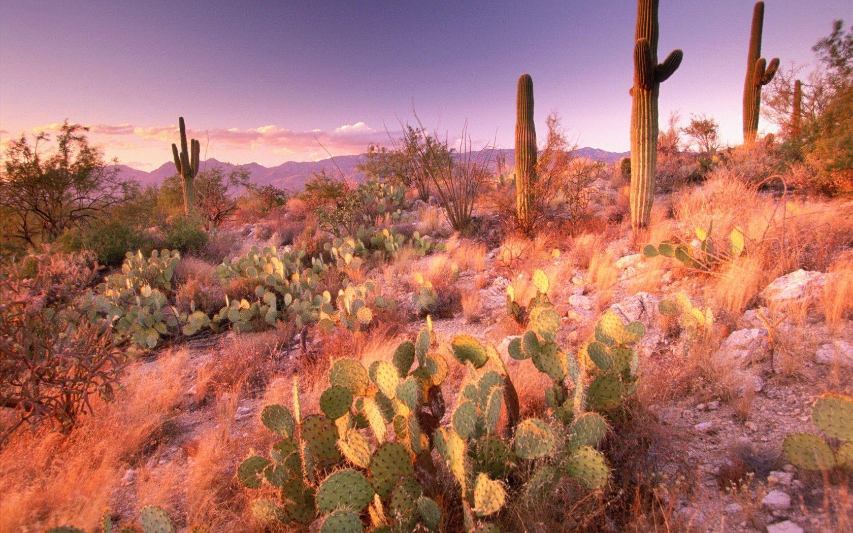 The 40 most stunning national parks in America. Park, Photo