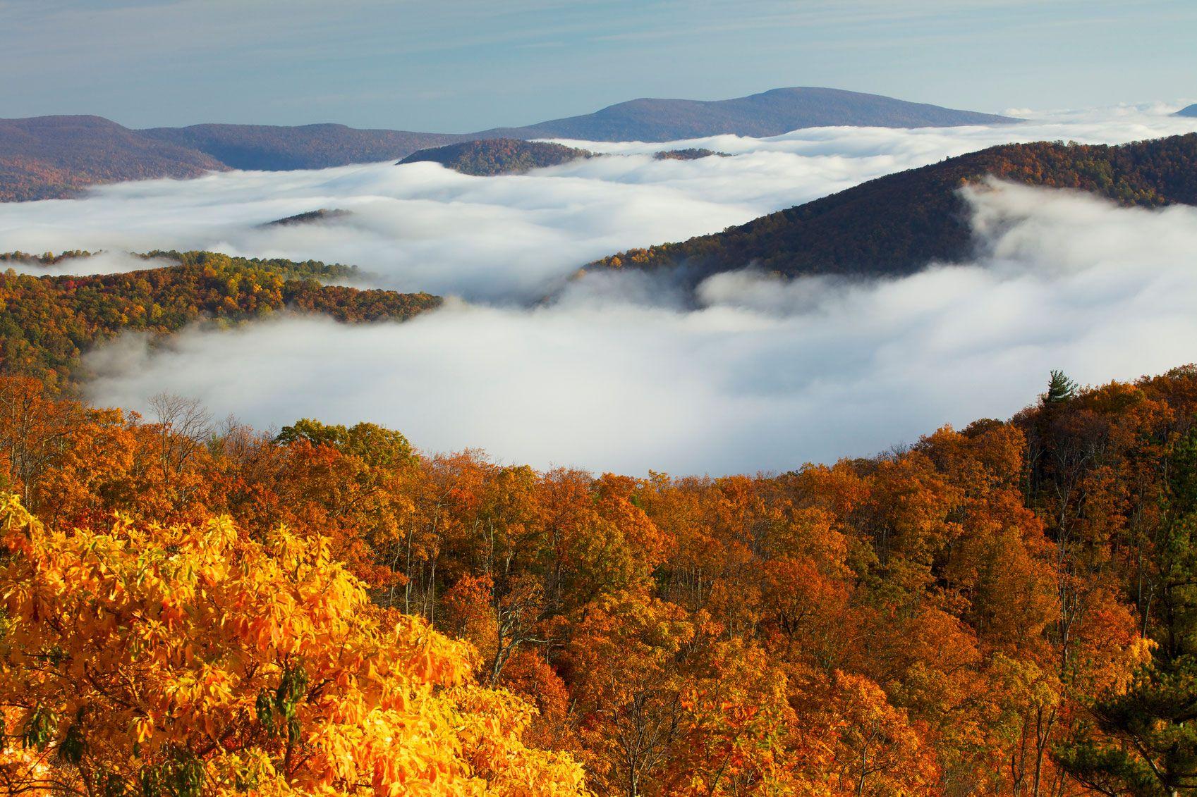 Must Dos At Shenandoah National Park • Columbia Blog