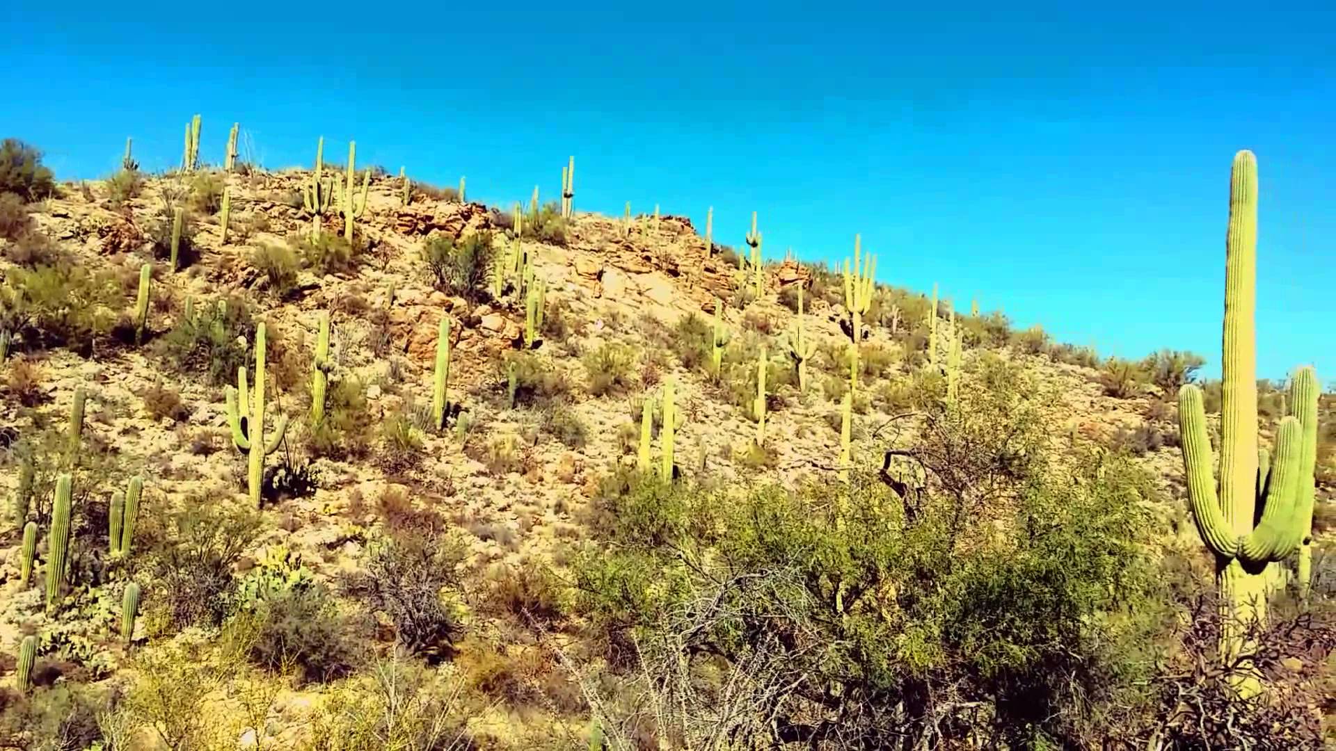 Saguaro National Park Rincon Mountain District