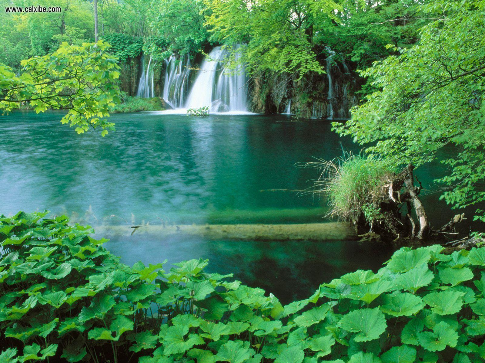 Nature: Plitvice Lakes National Park, Croatia, desktop wallpaper nr