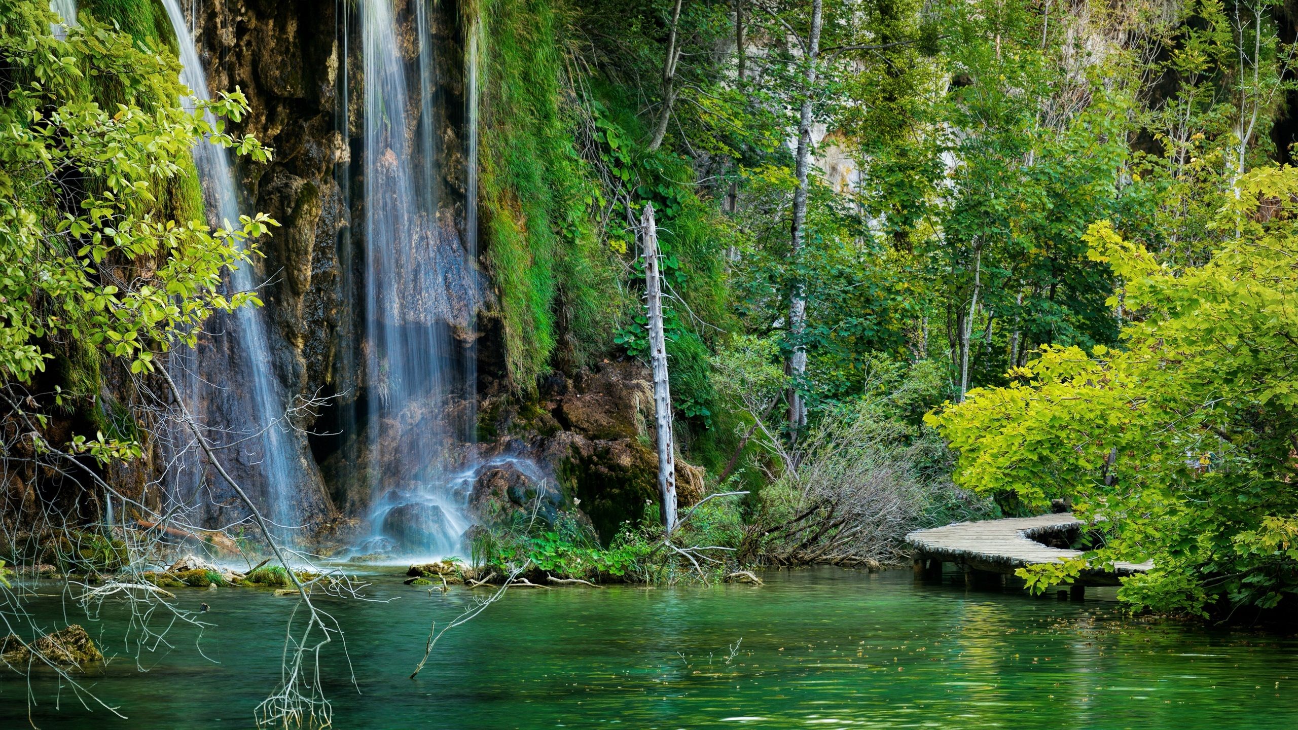 Download Wallpaper 2560x1440 Croatia, Plitvice Lakes National Park