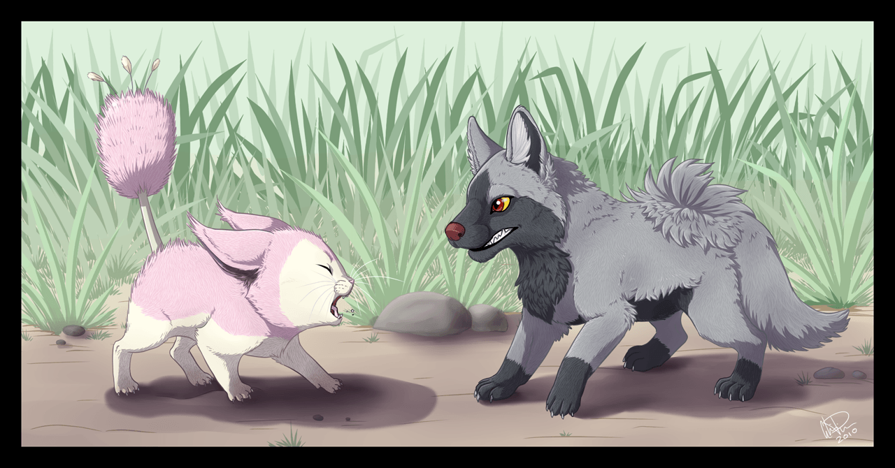 Poochyena And Skitty On Poochyena Lovers