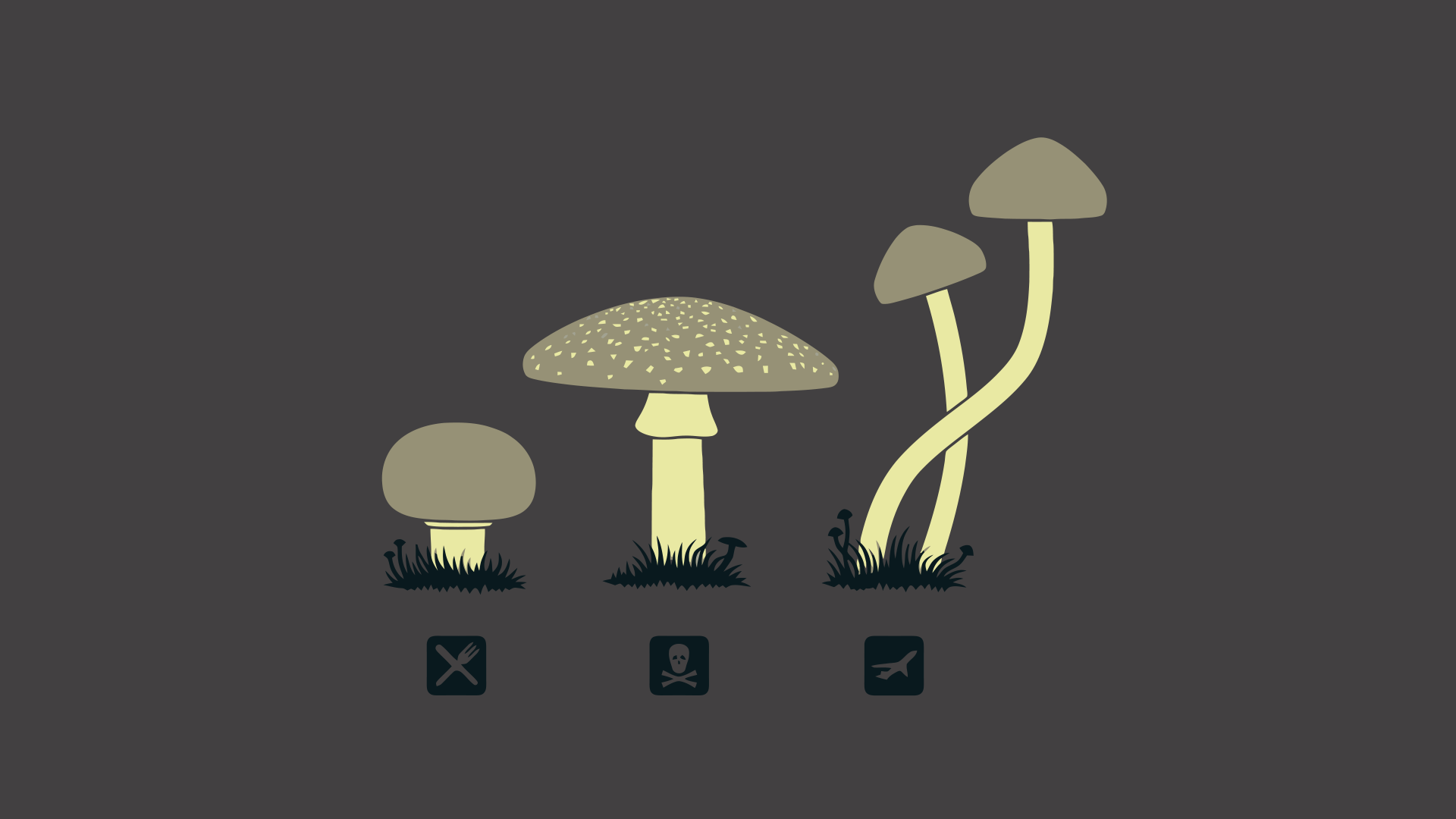 Mushrooms