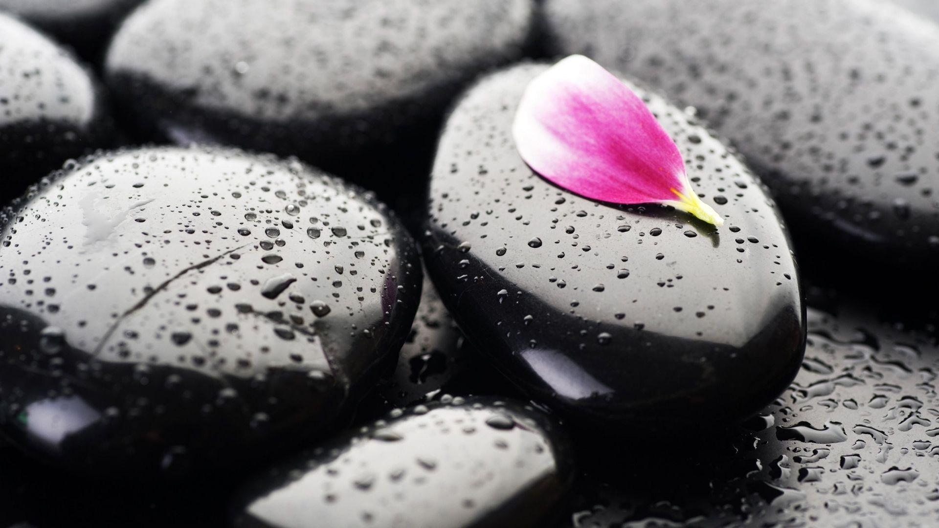 Full HD Wallpaper pebble drop water petal, Desktop Background HD 1080p