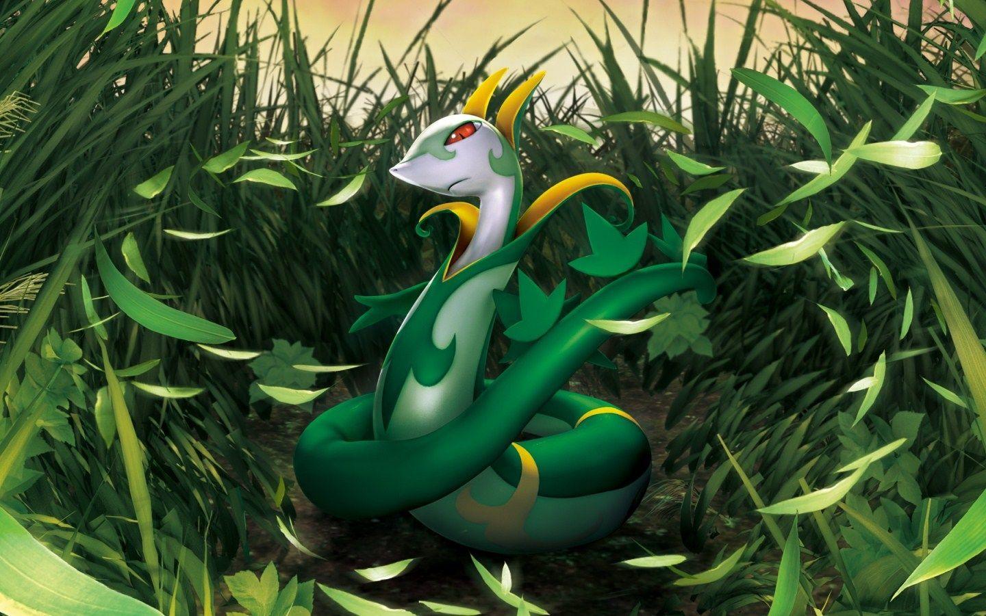 My Favorite Pokémon:, Serperior