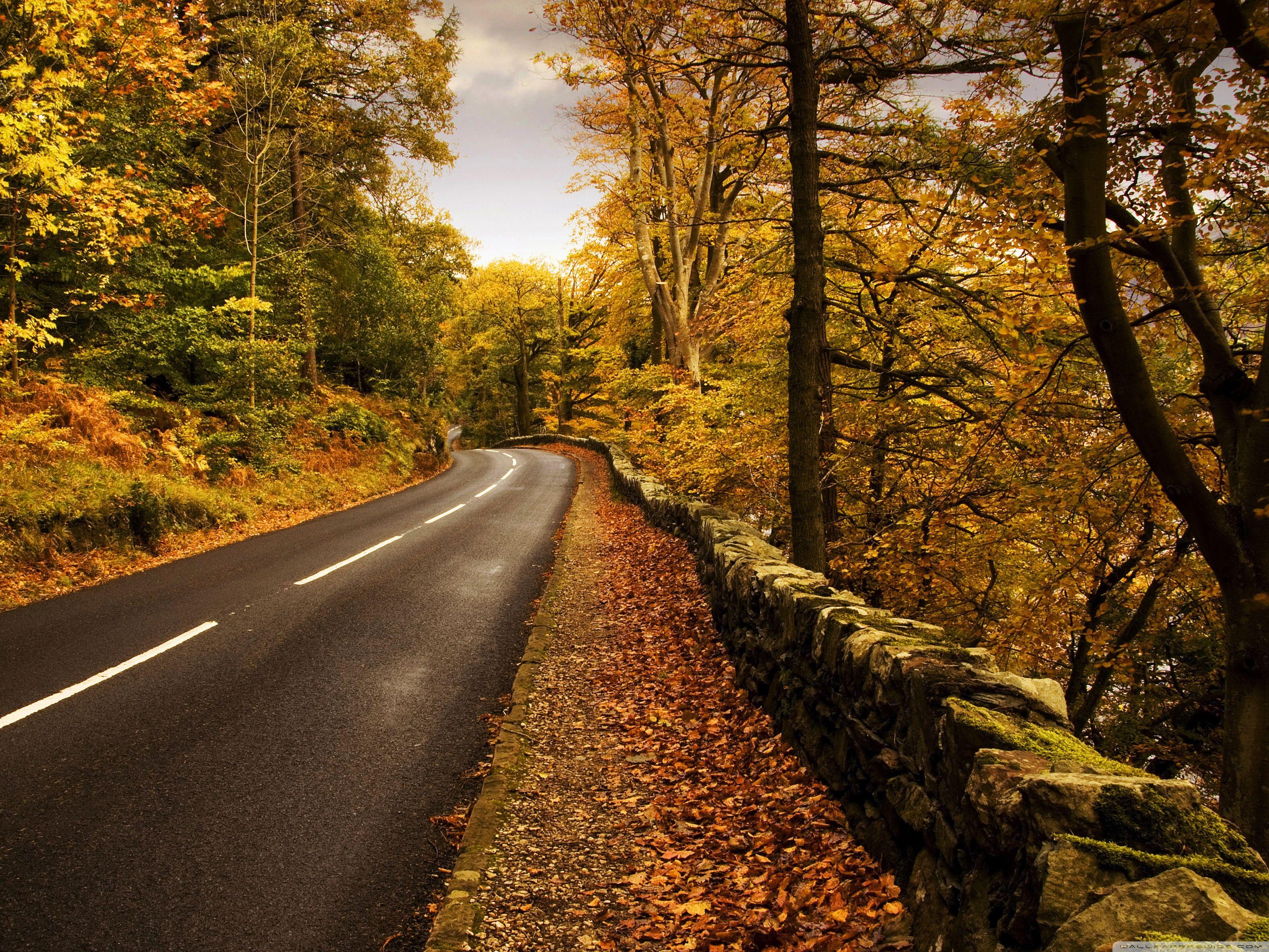 Autumn Road ❤ 4K HD Desktop Wallpaper for 4K Ultra HD TV • Dual