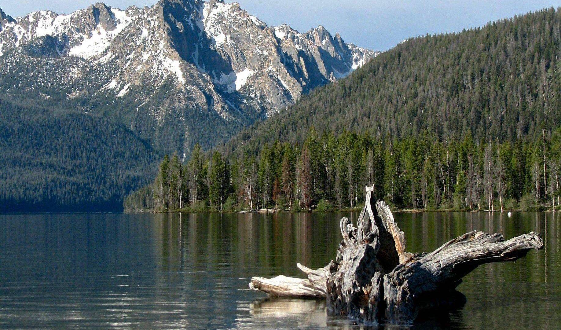 Redfish Tag wallpaper: Lake Idaho Beautiful Scenic Fishing Redfish