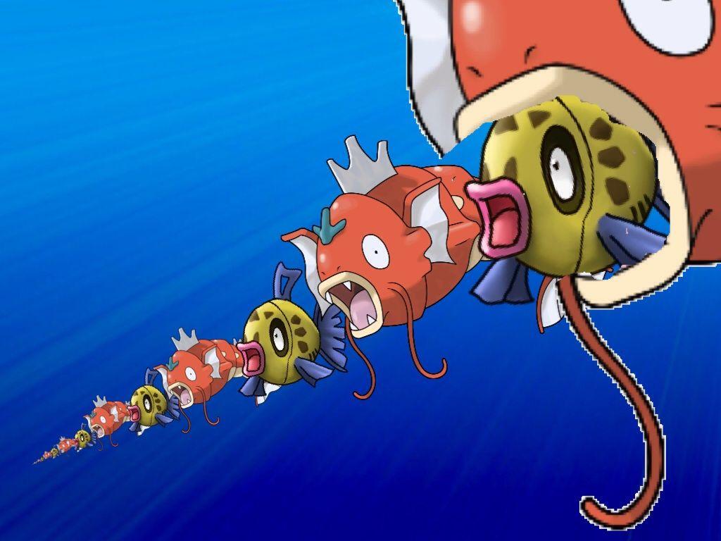 Magikarp Feebas Chain Insanity Response To 9 Month Old Comment