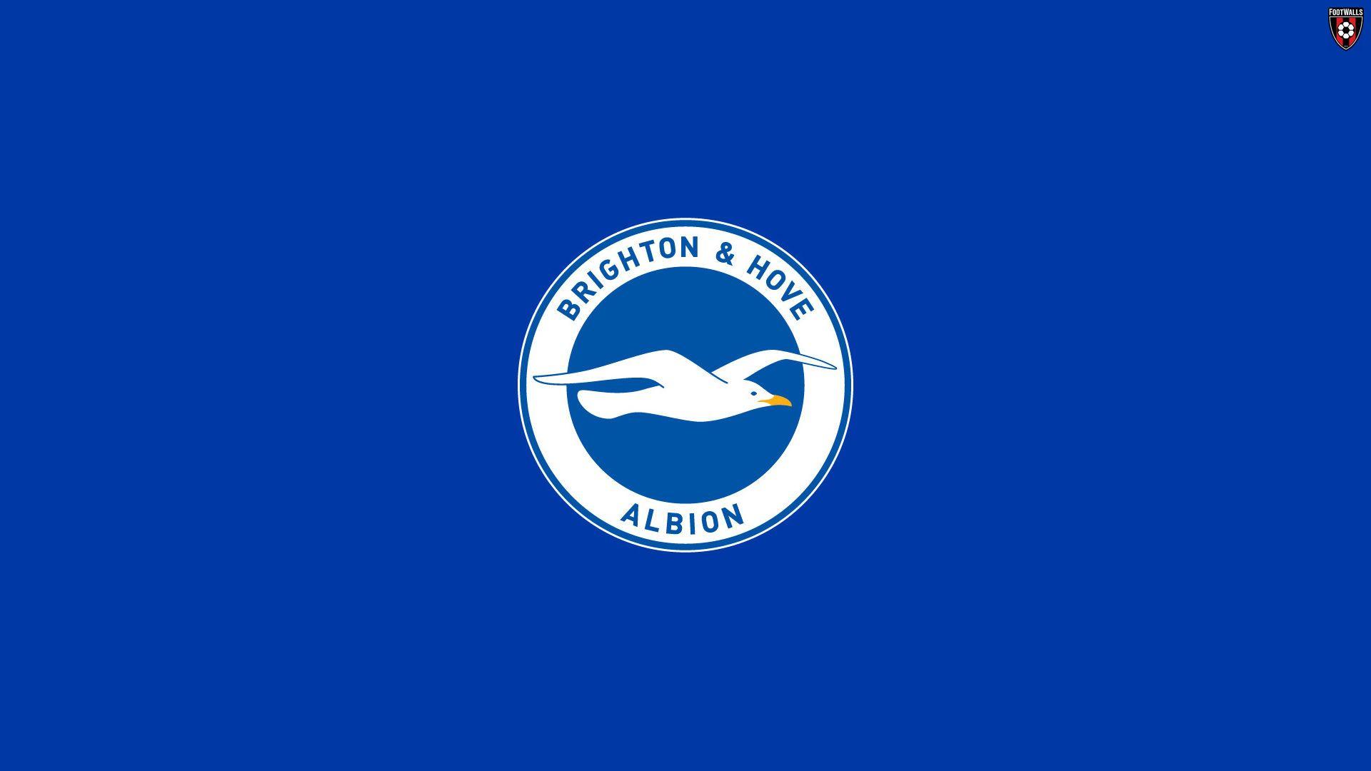 Brighton And Hove Albion Wallpaper