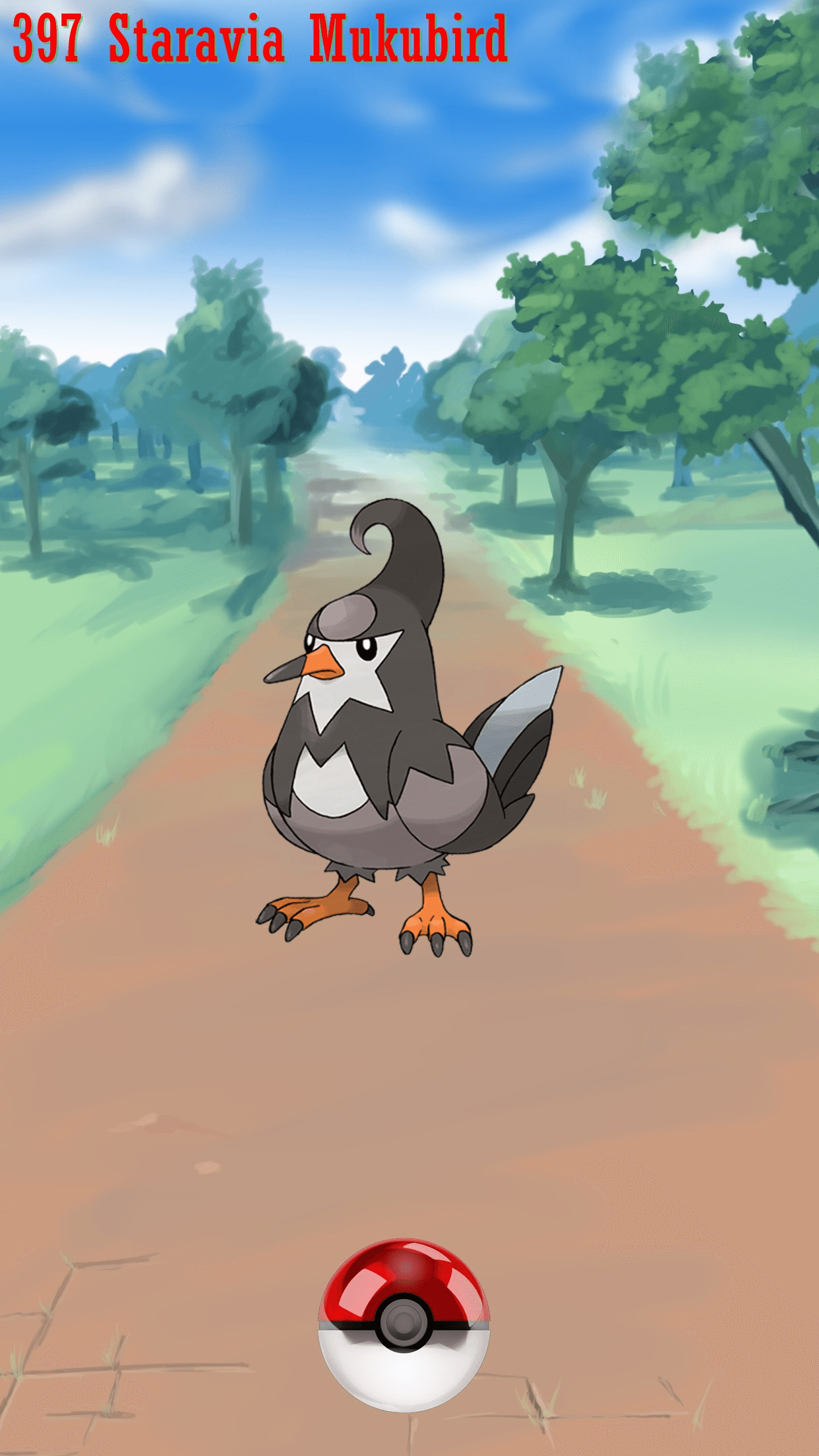 Street Pokeball Staravia Mukubird