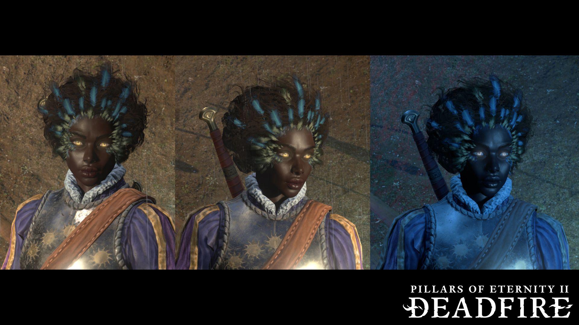 Pillars of Eternity II: Deadfire: Backer Rewards