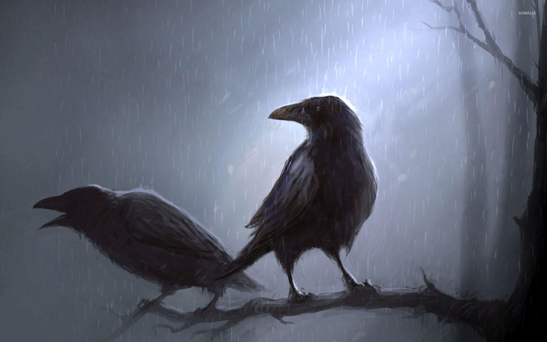 Crows standing in the rain on the branch wallpaper Art