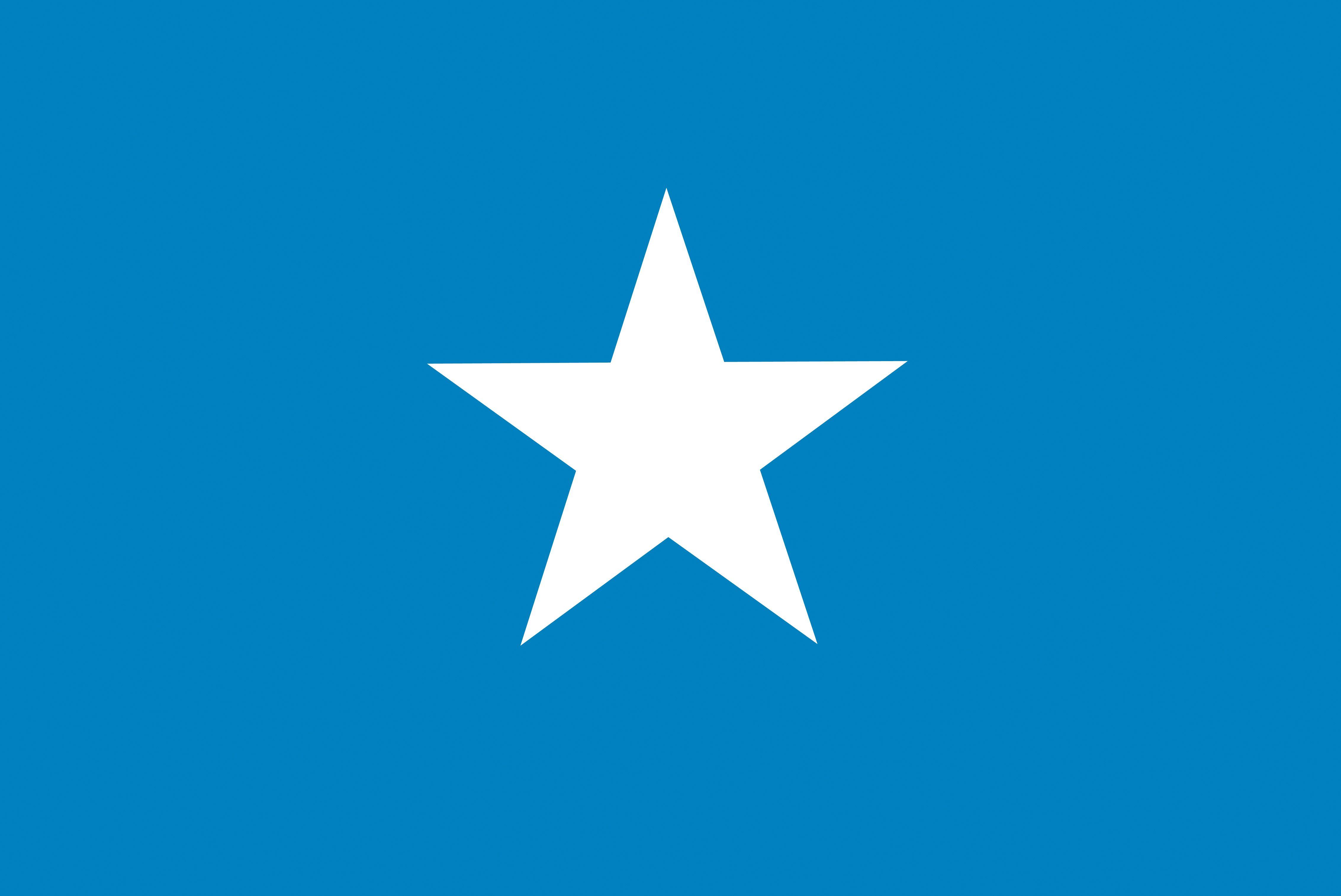 Picture Somalia Flag
