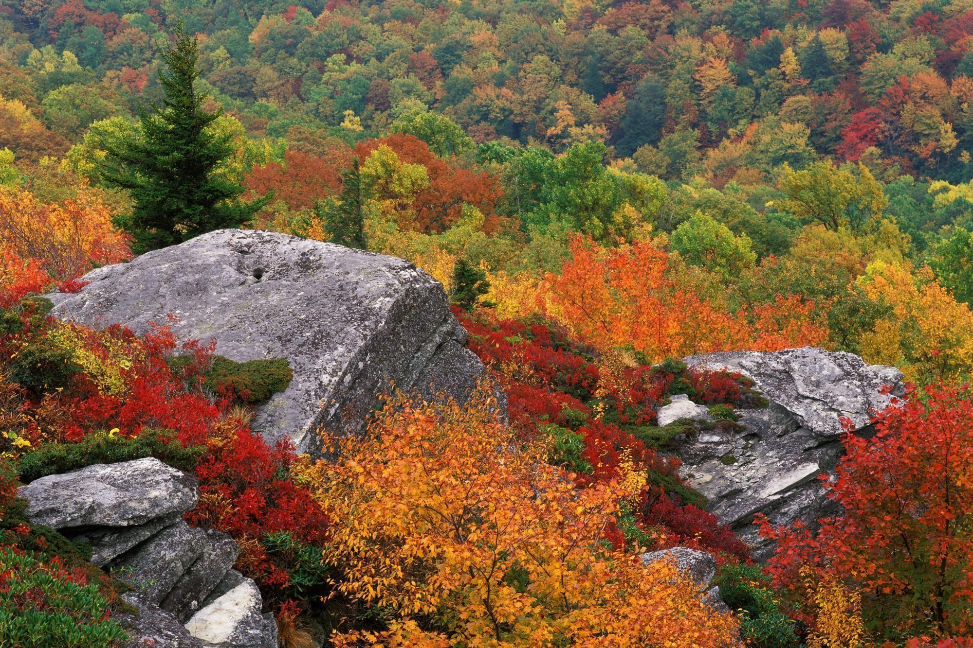 Blue Ridge Parkway North Carolina Autumn HD desktop wallpaper
