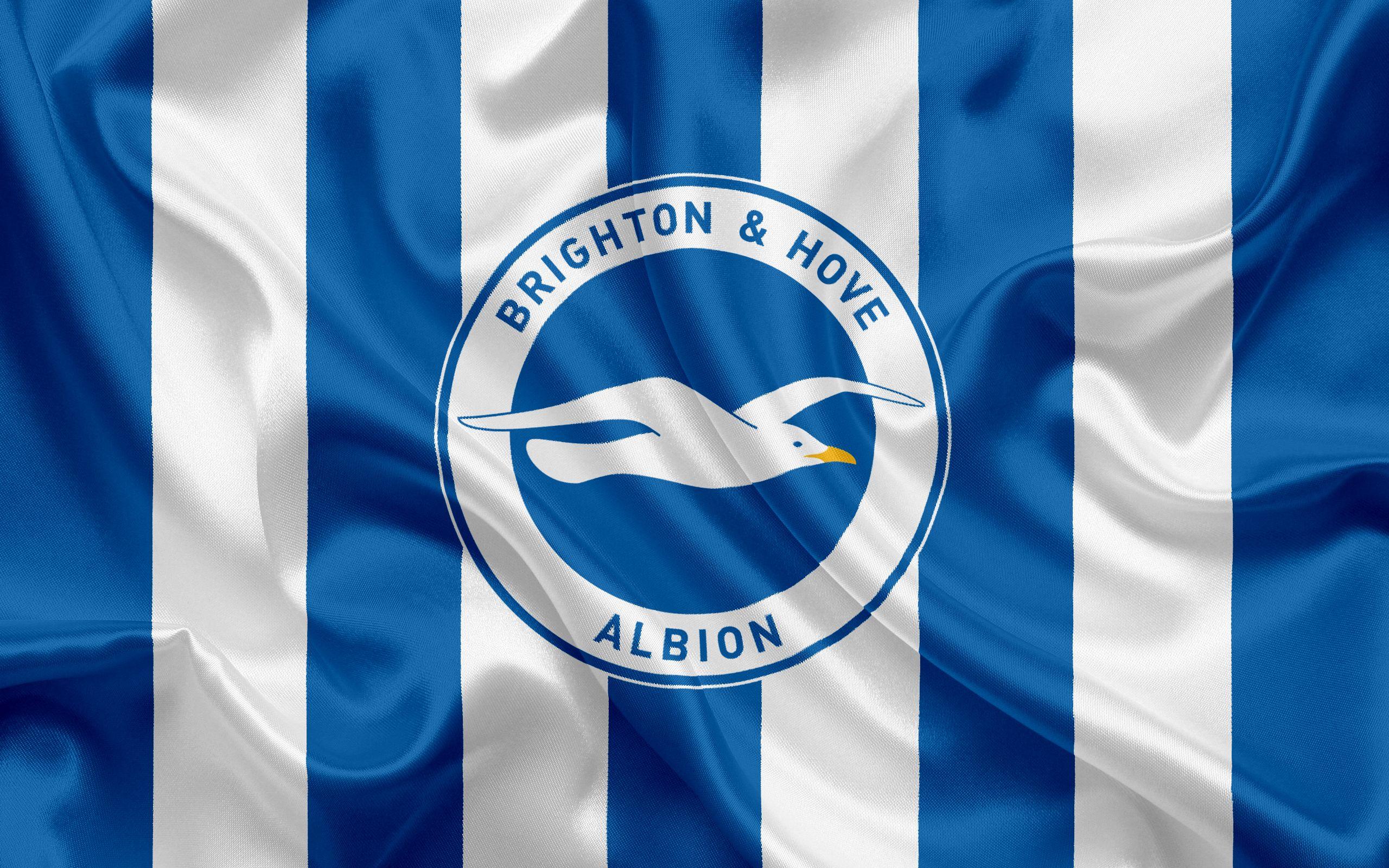 Download wallpaper Brighton Hove Albion, Football Club, Premier