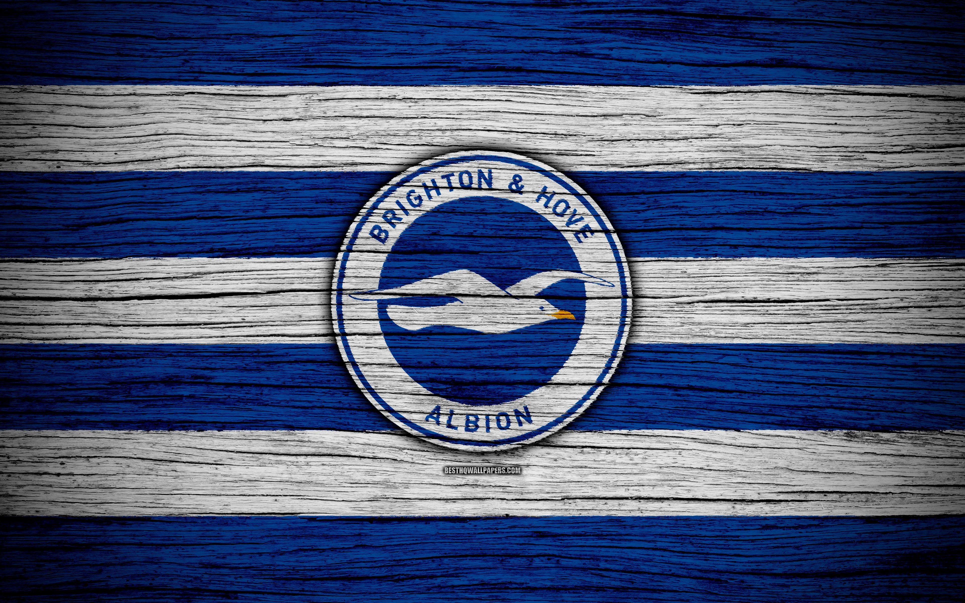 Download wallpaper Brighton and Hove Albion, 4k, Premier League