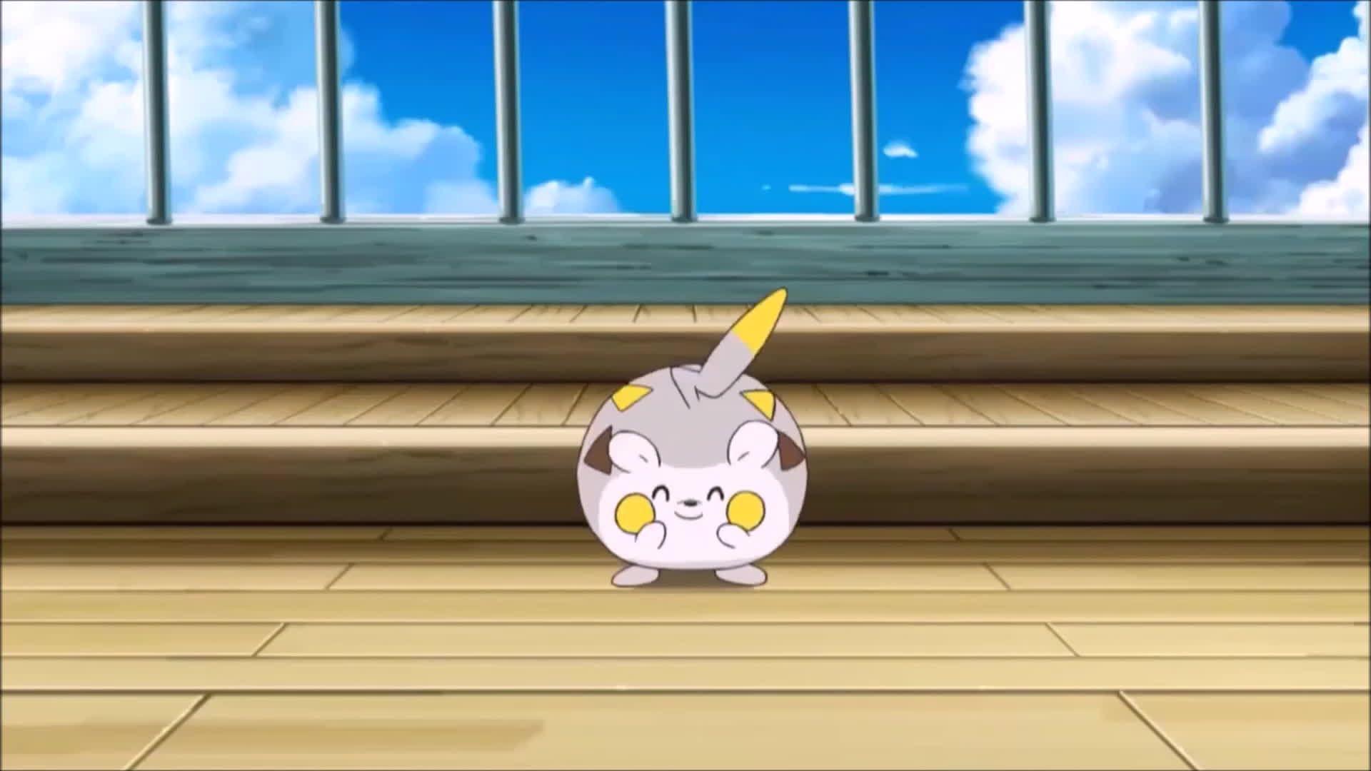 Togedemaru Annoys Pikachu! Pokemon Sun and Moon Anime Episode 8 HD