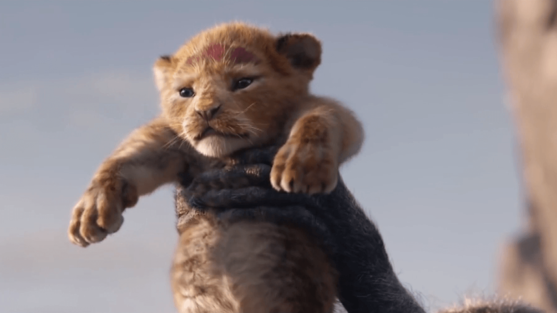 Disney Shares First Look At Live Action 'The Lion King' In New
