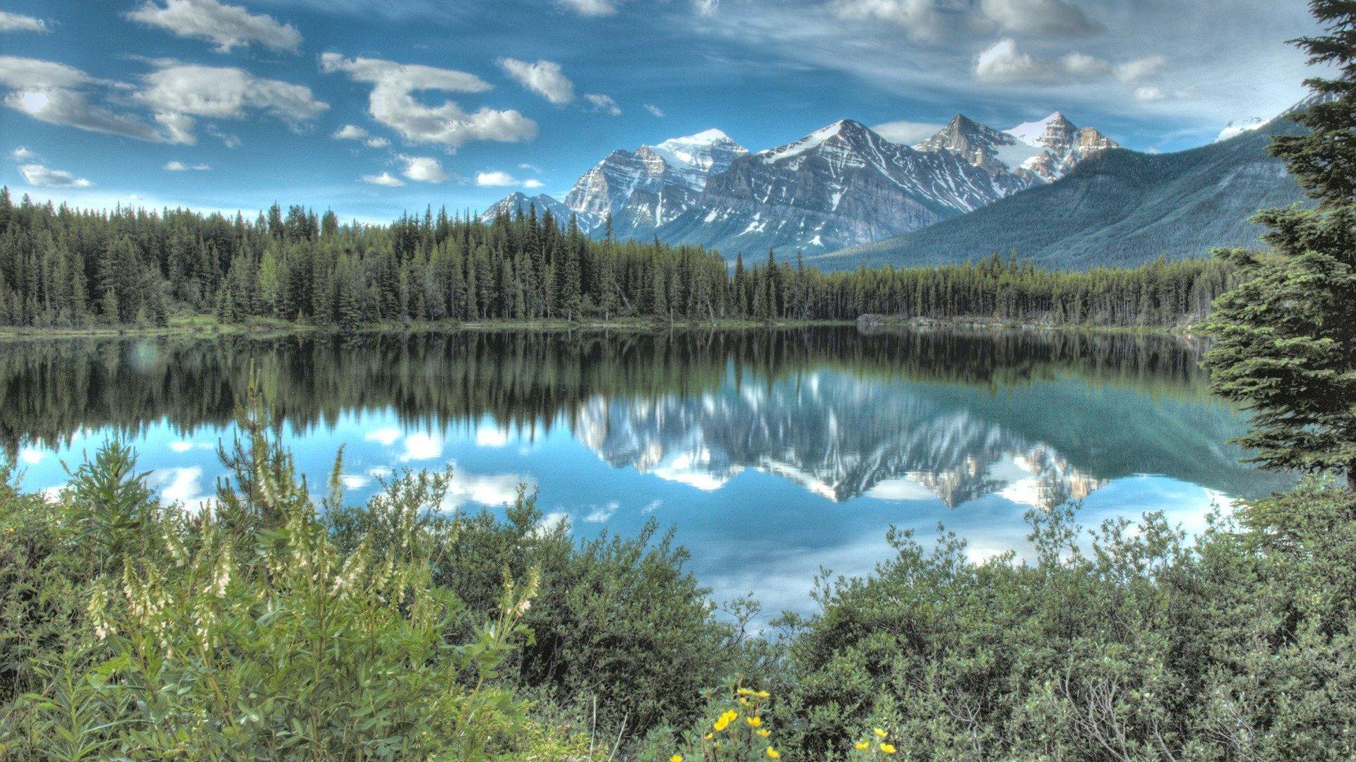 Download 1080p Canada Wallpaper: The Home Of The Grizzly Bear