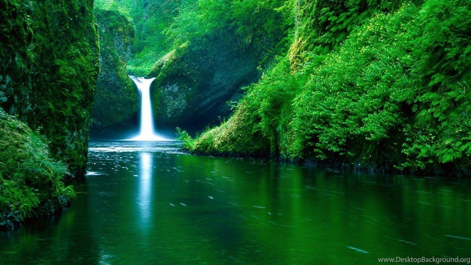 Waterfall forest green full HD nature background wallpaper