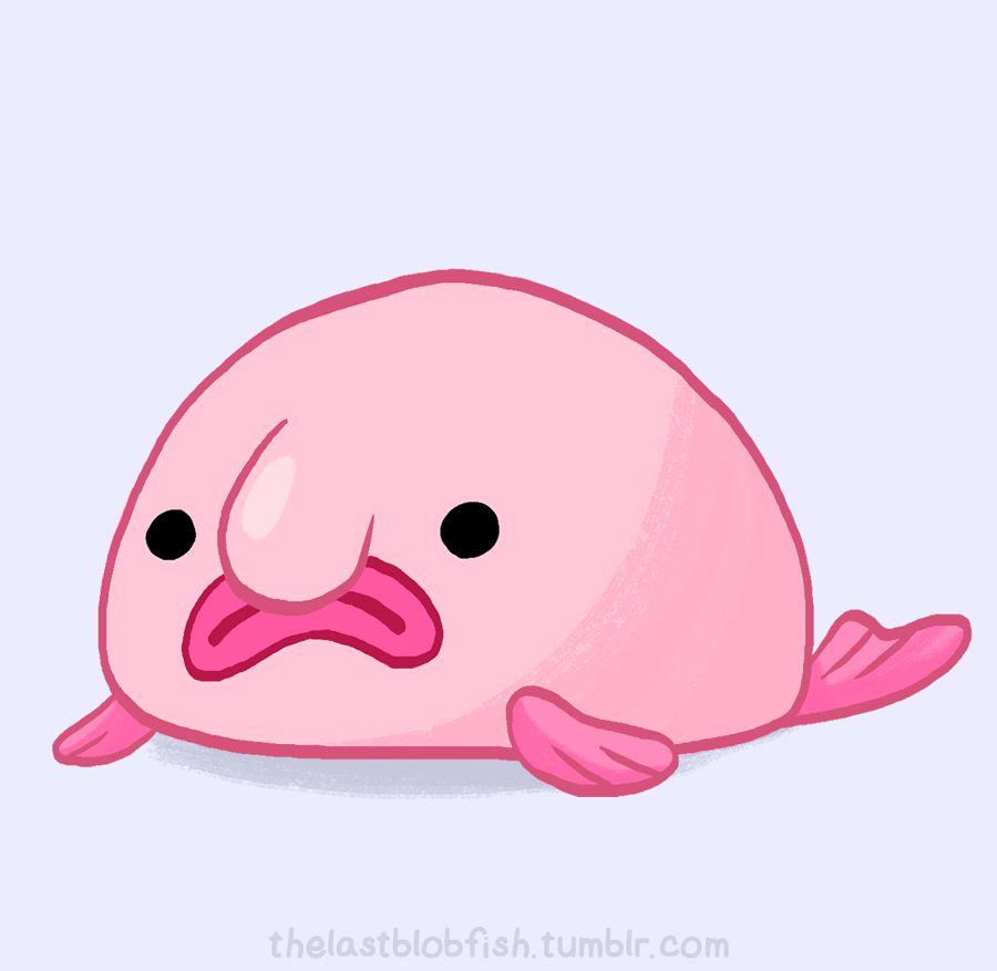 So cute. Blobfish, Fish drawings, Fish wallpaper