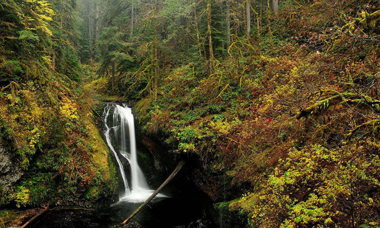 Wallpaper USA Oregon Nature Autumn Waterfalls Forests