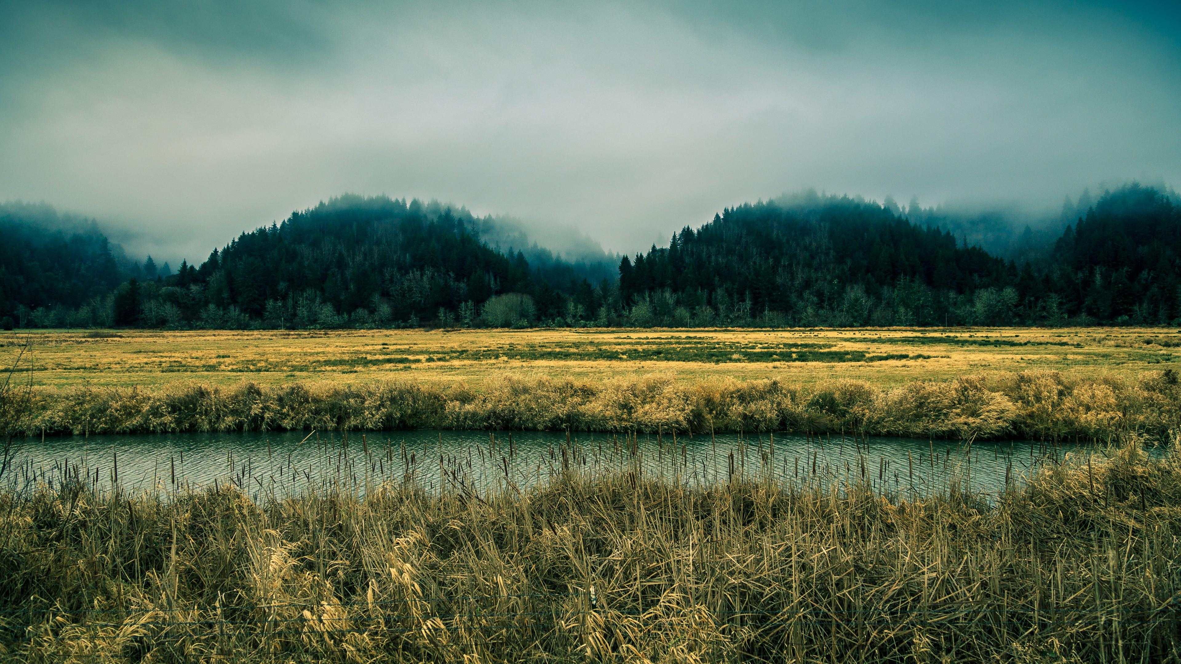 Wallpaper Oregon, 5k, 4k wallpaper, 8k, sky, river, fog, forest