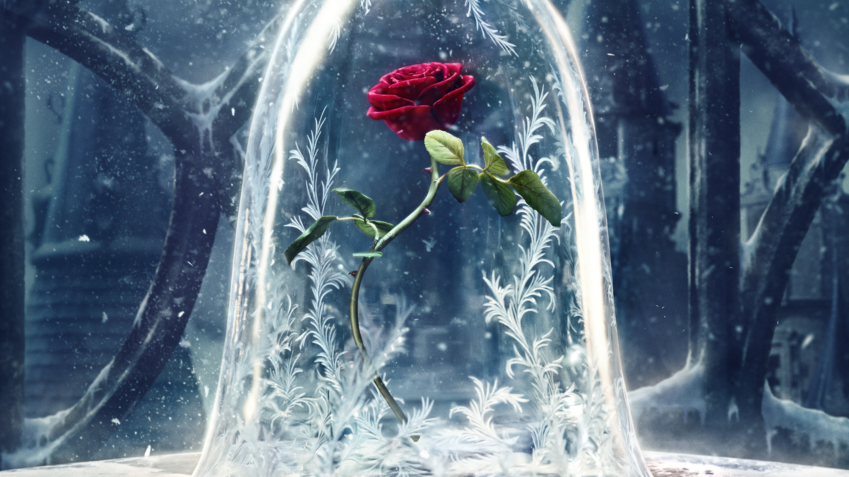 Wallpaper Beauty and the Beast, 2017 Movies, Disney, Rose, Movies