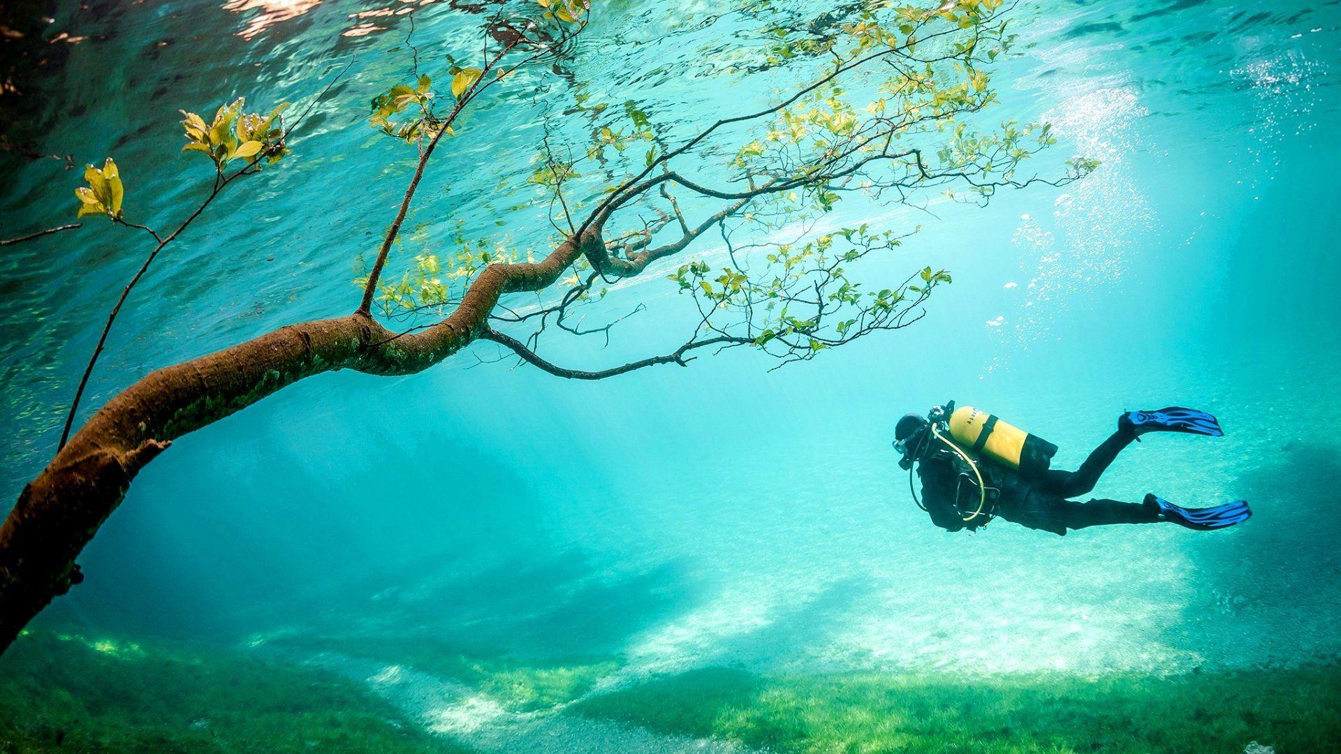 Bahamas Diving Wallpaper