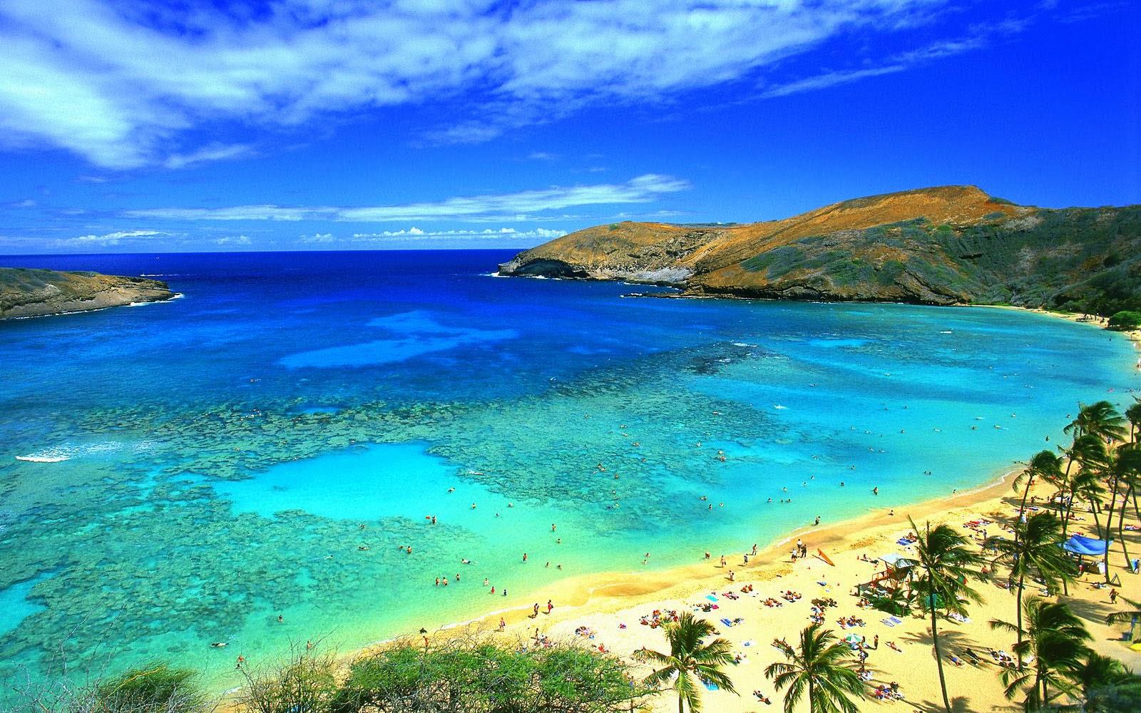 hawaii desktop background