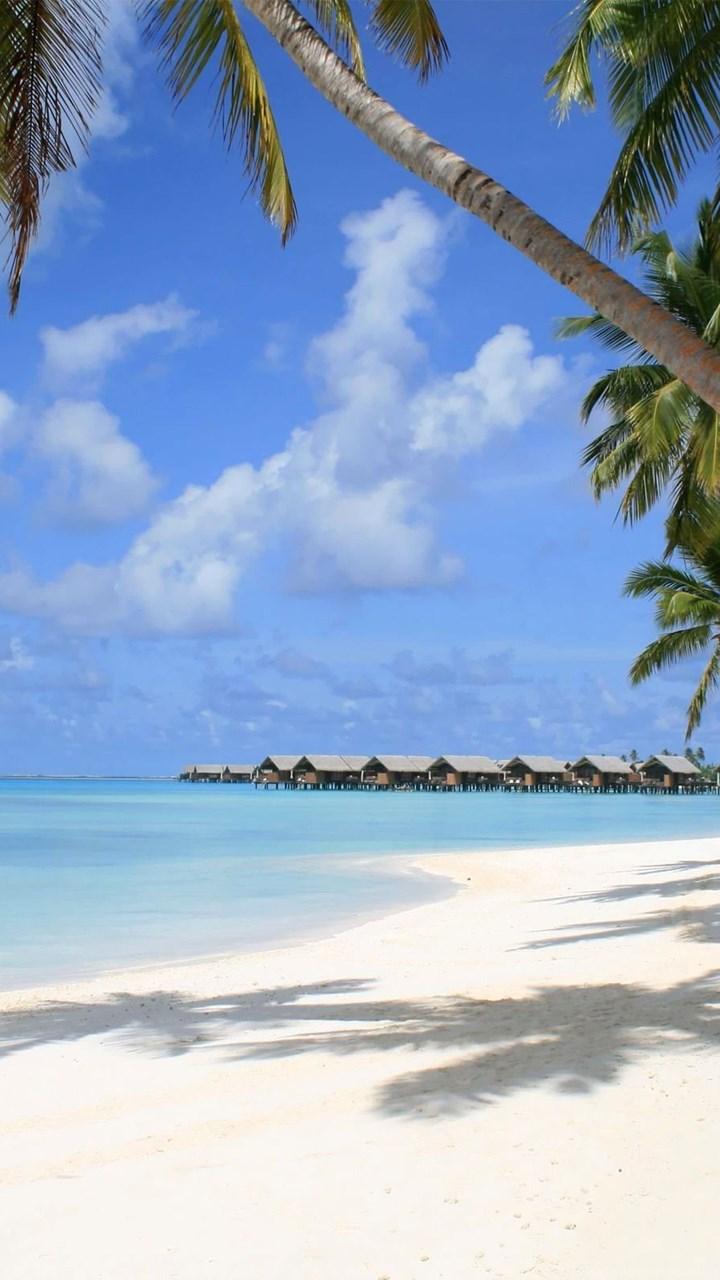 Maldives Wallpaper Beach Wallpaper Desktop Background