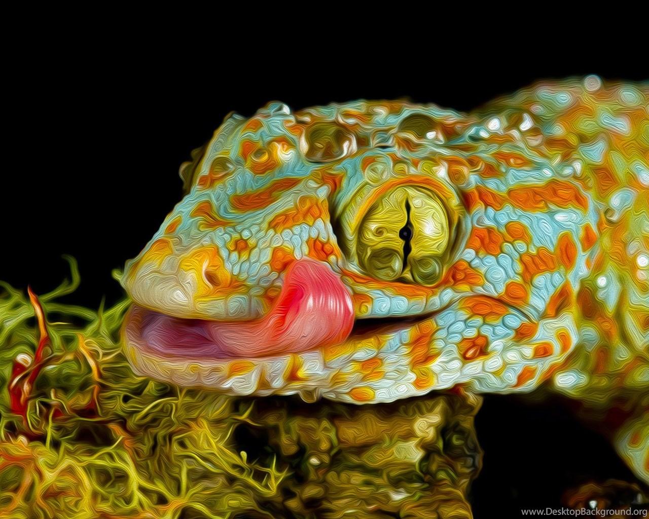 3D Tokay Gecko Desktop Background