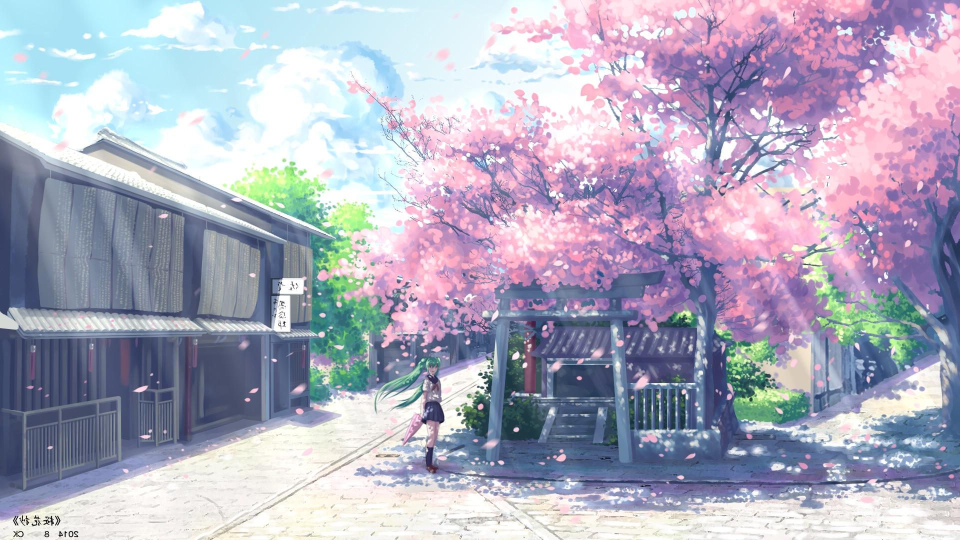 Anime Cherry Blossom Wallpaper.spb.ru