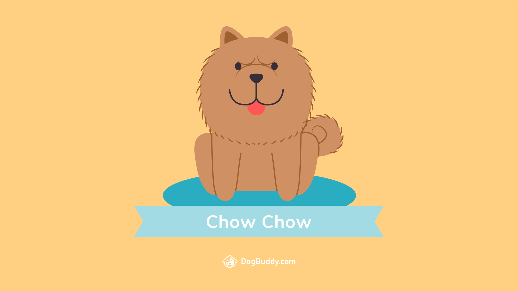 Chow Chow Wallpaper and Background