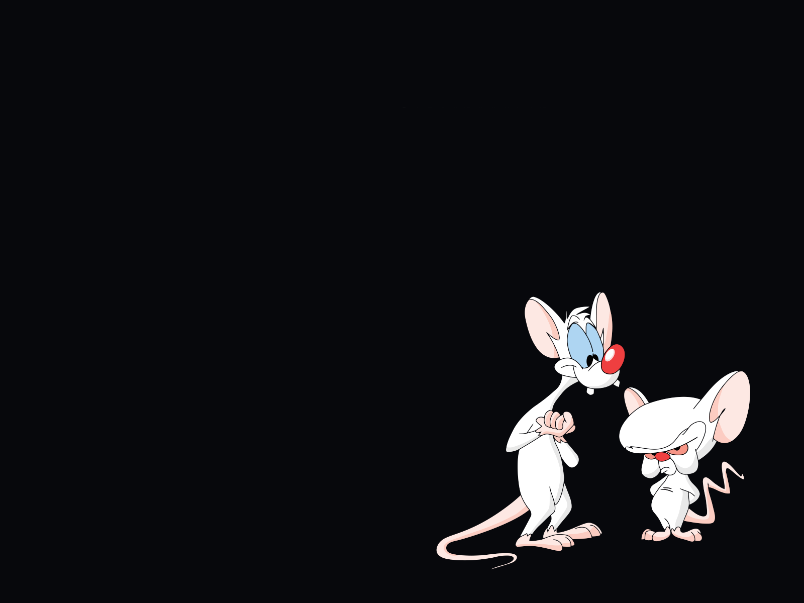 Pinky And The Brain Wallpaper and Background Imagex1200