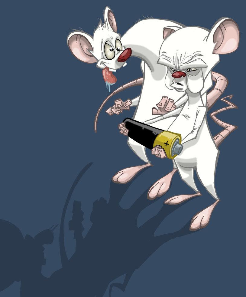 Pinky And The Brain Wallpaper 86607