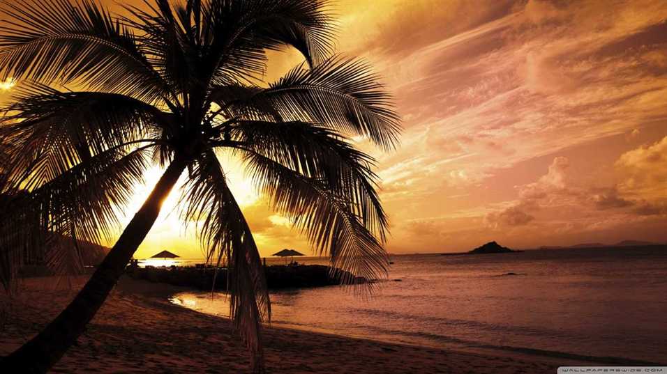 Download Sunset Beach Wallpaper pictuers)