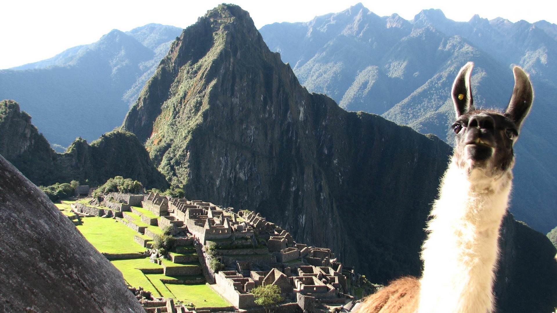 Machu Picchu Wallpaper National Geographic