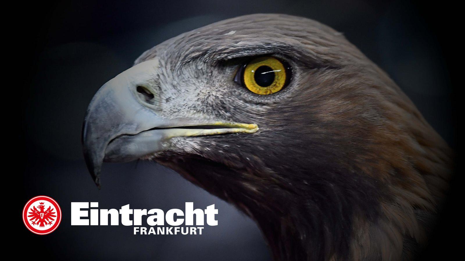 Eintracht TV