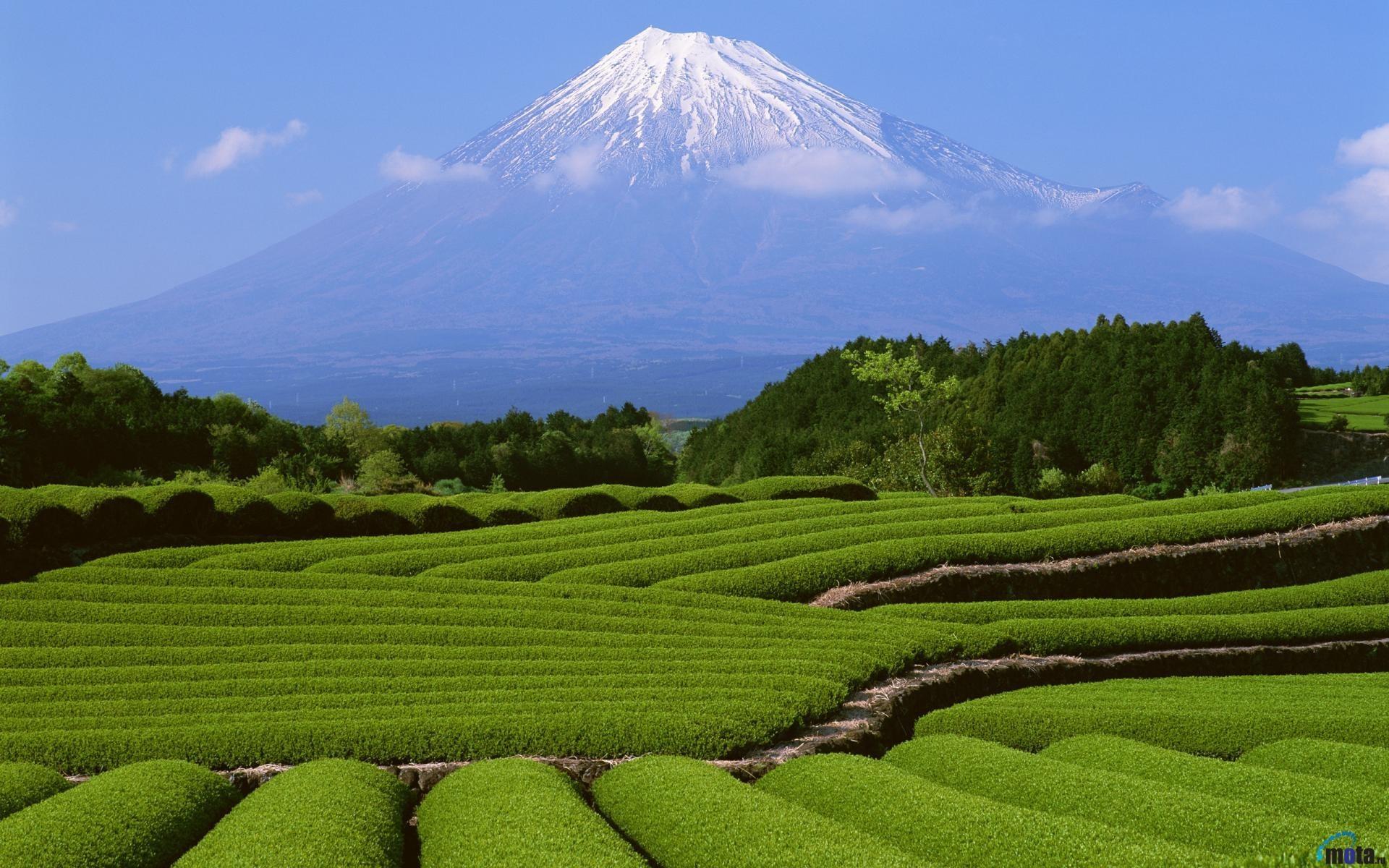 Mount fuji background wallpaper. PC