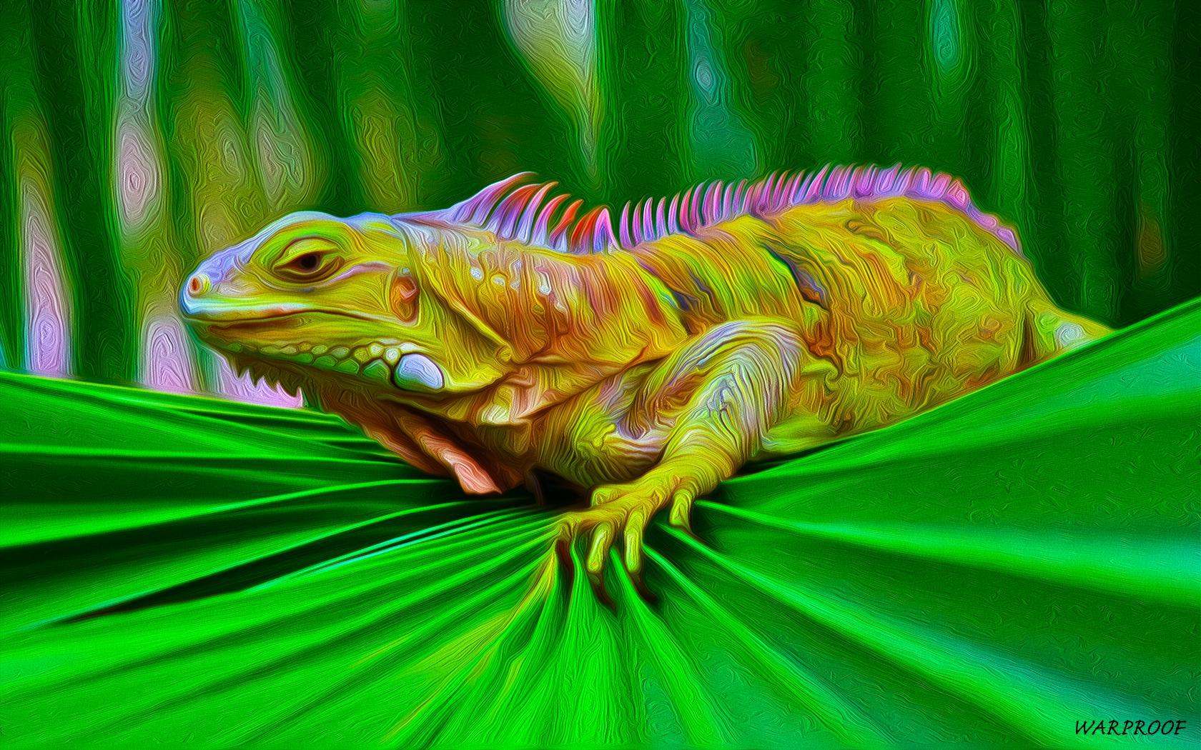 IGUANA Wallpaper and Background Imagex1050