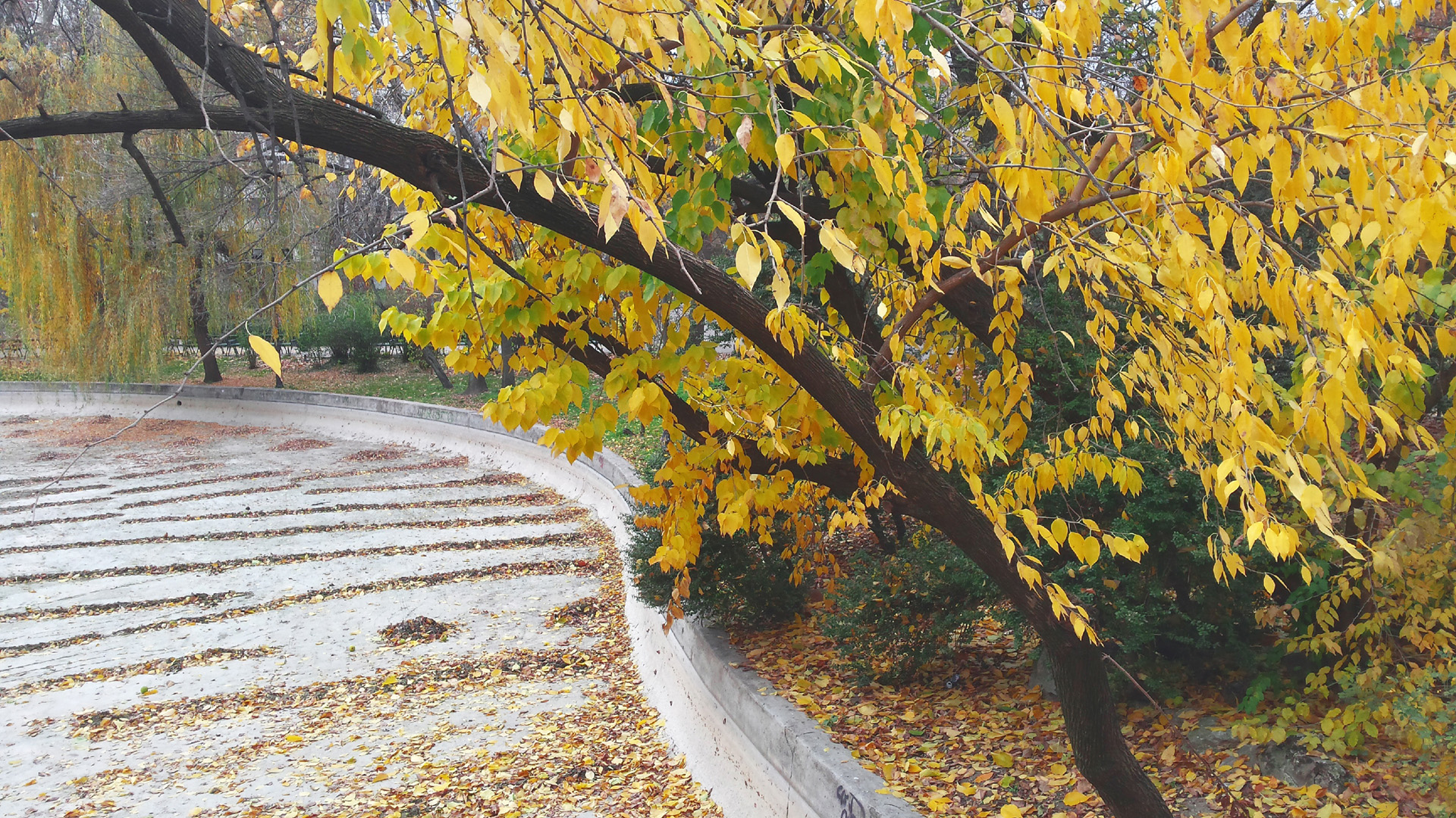 OC] Autumn in Cişmigiu Park, Bucharest (1) [1920 x 1080]