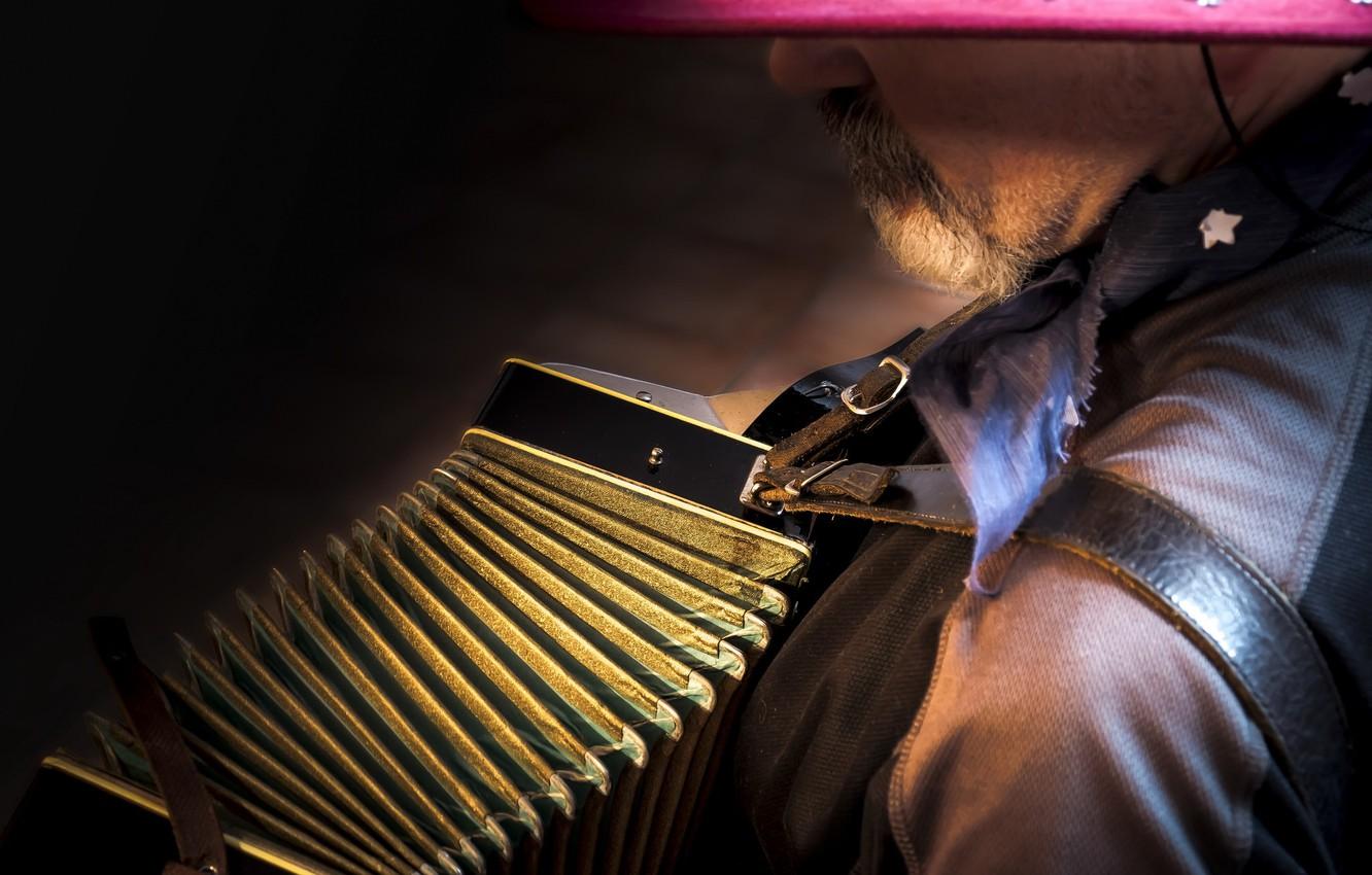 Wallpaper Accordion music, musician, accordion image for desktop