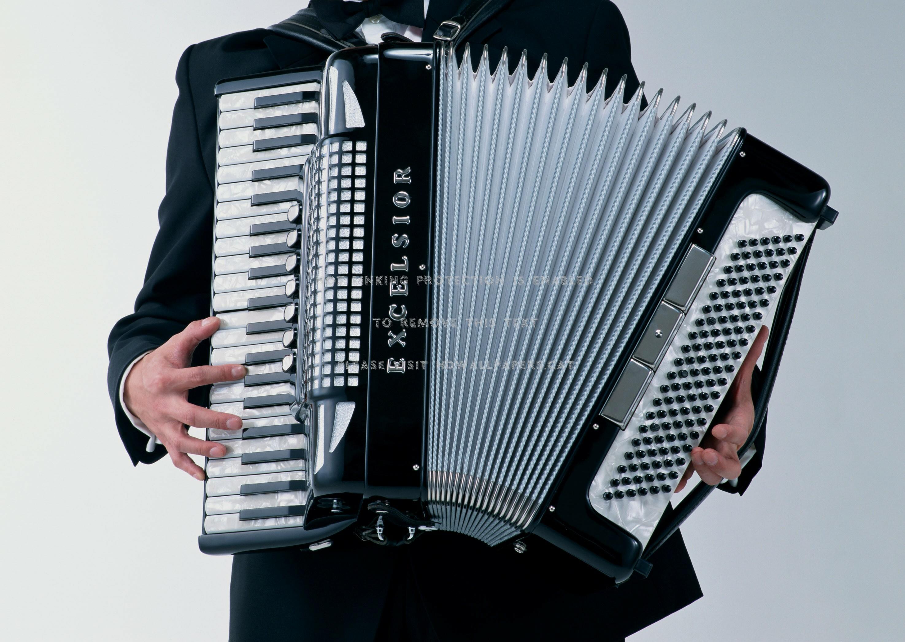 accordion player instrument music abstract