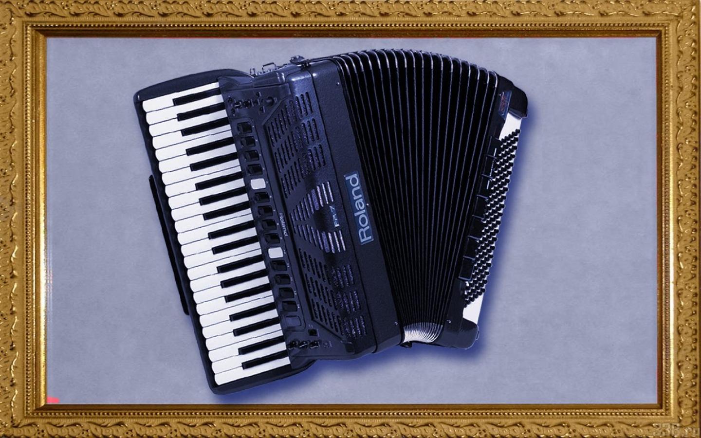 Accordion wallpaper, picture, Accordion, accordion picture